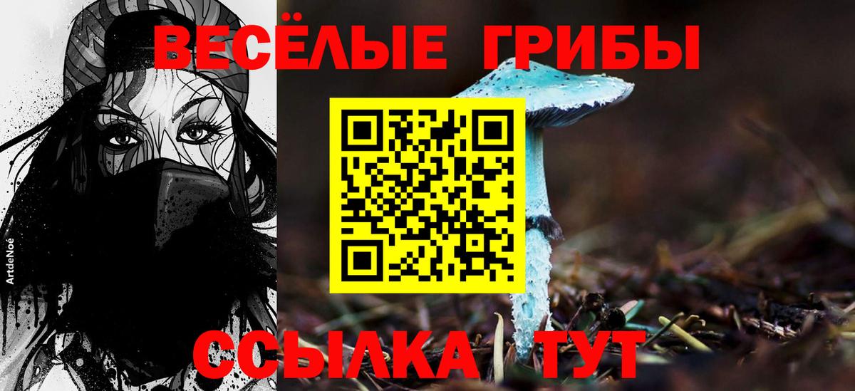 Галлюциногенные грибы Magic Shrooms Дзержинский