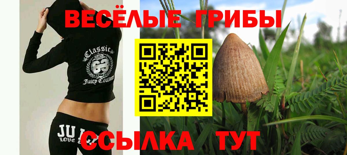Дзержинский  Псилоцибиновые грибы мухоморы  Вход с VPN 